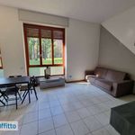 Rent 2 bedroom apartment of 55 m² in Segrate