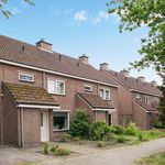 Rent 3 bedroom apartment of 142 m² in Enschede