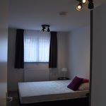 Rent 1 bedroom apartment in Marknesse