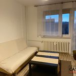Rent 2 bedroom apartment of 42 m² in Gorzów Wielkopolski