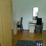 Rent 1 bedroom apartment of 110 m² in Cracow