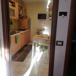Rent 2 bedroom apartment of 65 m² in rome