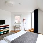 Rent 1 bedroom apartment of 40 m² in Köln