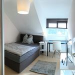 Rent 3 bedroom student apartment of 12 m² in Stuttgart