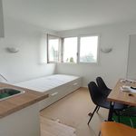 Rent 1 bedroom apartment in LIMOGES