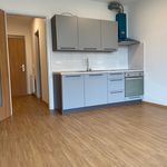 Rent 1 bedroom apartment of 32 m² in Pardubice