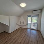 Rent 1 bedroom house of 240 m² in Dolní Olešnice