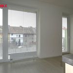 Rent 1 bedroom apartment of 43 m² in Pardubice