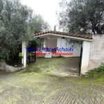 Rent 2 bedroom house in Aigio