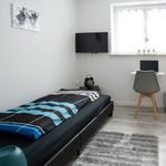 Miete 4 Schlafzimmer wohnung von 93 m² in Erfurt