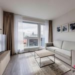 Rent 3 bedroom apartment of 70 m² in Prague