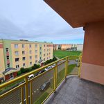 Rent 1 bedroom apartment of 35 m² in Kalisz
