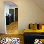 Rent 7 bedroom apartment of 210 m² in Rhens