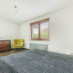 Rent 5 bedroom house of 250 m² in Łódź