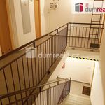 Rent 2 bedroom apartment of 48 m² in Milovice