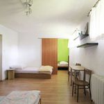 Rent 8 bedroom house of 3 m² in Jawor