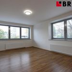 Rent 2 bedroom apartment of 83 m² in Brno