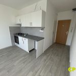 Pronajměte si 2 ložnic/e byt o rozloze 38 m² v Litvínov
