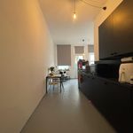 Rent 1 bedroom apartment of 49 m² in Maastricht