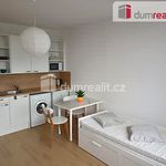 Rent 1 bedroom apartment of 22 m² in Ústí nad Labem