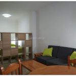 1 dormitorio apartamento de 35 m² en Las Palmas