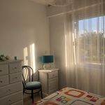 Rent 2 bedroom apartment of 39 m² in Arrondissement of Ajaccio