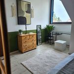 Miete 1 Schlafzimmer wohnung von 55 m² in Nürnberg