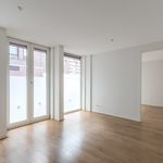 Rent 1 bedroom apartment of 56 m² in 's-Gravenhage
