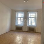 Rent 1 bedroom apartment of 44 m² in Děčín