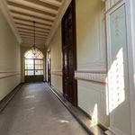 Rent 1 bedroom apartment of 55 m² in Torino