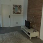 Rent 1 bedroom apartment of 78 m² in Schiltigheim
