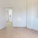 Rent 4 bedroom apartment of 100 m² in Francavilla Fontana