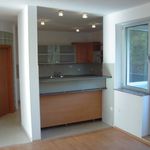 Rent 5 bedroom apartment of 210 m² in Jáchymov