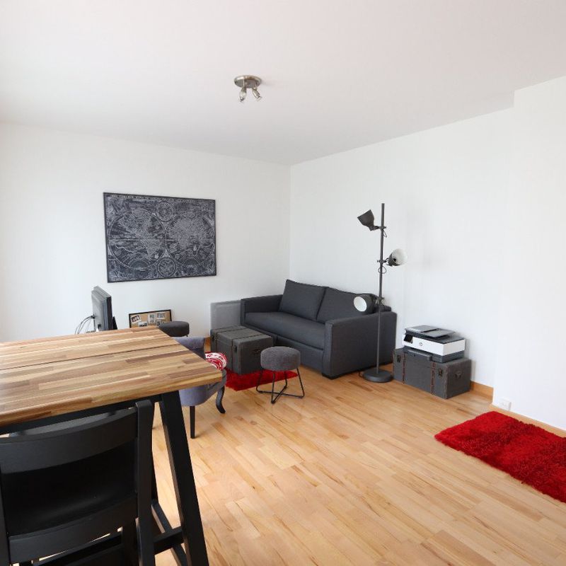 Appartement meublé entièrement rénové à Orleans-Sud 1 pièce(s) 34 m2 Saint-Jean-le-Blanc