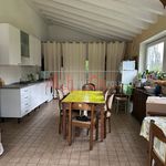 Rent a room of 50 m² in Rubano