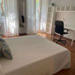Rent 3 bedroom apartment of 130 m² in Milan