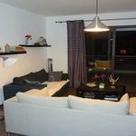  appartement avec 1 chambre(s) en location à Penta-di-Casinca