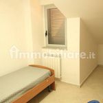 Rent 3 bedroom apartment of 80 m² in Acerra