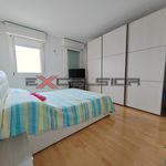 Rent 2 bedroom apartment of 75 m² in Cavarzere