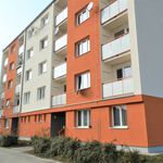 Rent 3 bedroom apartment of 63 m² in Staré Město