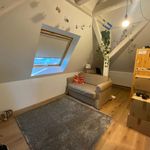 Rent 4 bedroom apartment of 95 m² in Sélestat