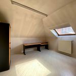 Huur 3 slaapkamer huis van 250 m² in Avelgem
