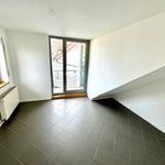 Rent 3 bedroom apartment of 140 m² in Mannheim