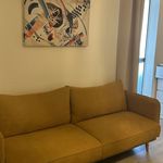 Rent 1 bedroom apartment of 15 m² in Perpignan
