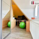 Rent 3 bedroom apartment of 146 m² in Marianske Lazne