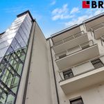 Rent 1 bedroom apartment of 26 m² in Brno
