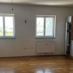 Rent 4 bedroom apartment of 103 m² in Linz