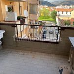 Rent 1 bedroom apartment of 40 m² in Prato