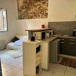 Rent 1 bedroom apartment of 24 m² in Perpignan