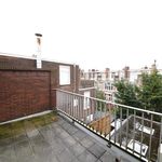 Rent a room of 123 m² in 's-Gravenhage